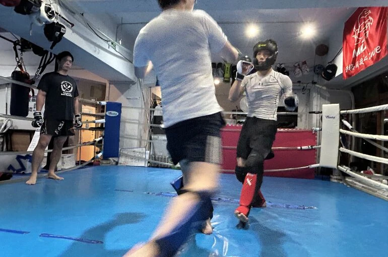    開放日＆試合結果   
